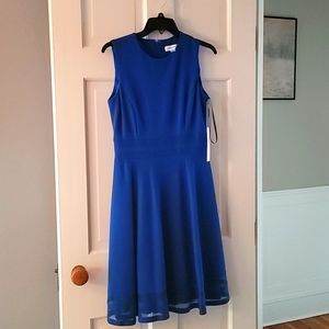 Calvin Klein Fit & Flare Shadow Stripe Hem Dress